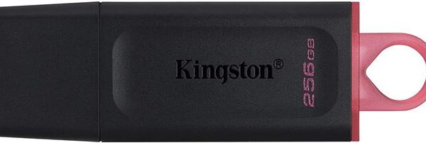Crna Kingston DTX USB memorija od 256GB sa garancijom