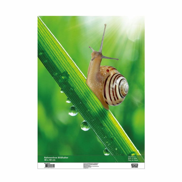 TTO Ram Clip-Fix 30x40cm sa staklenom prednjom stranom i HDF pločom
