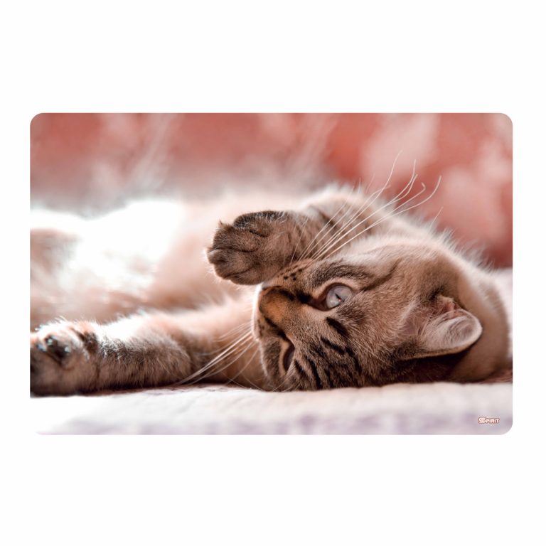 PVC stona mapa Little Cat sa motivom mačke, dimenzije 60x40cm