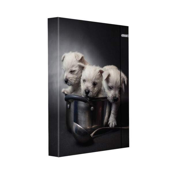 TTS kartonska mapa A4 sa gumom i motivom štenaca Puppies