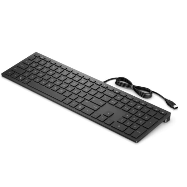 HP Pavilion Wired Keyboard 300 ADR crna tastatura sa numeričkim delom i USB kablom