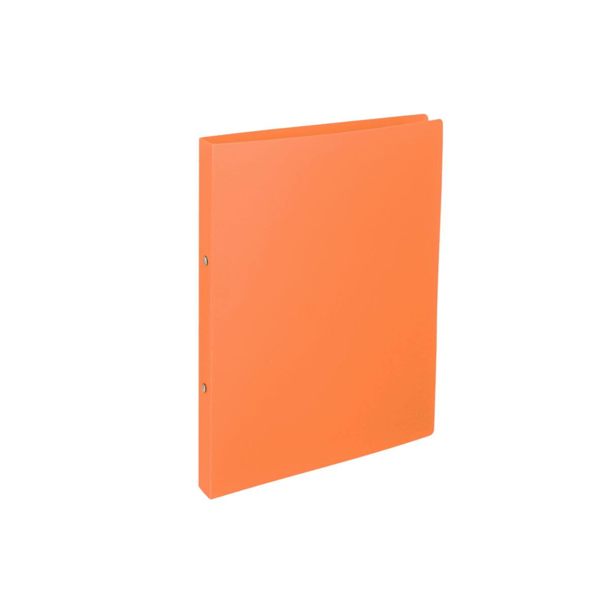 TTO fascikla PVC 2-ring A4 sa metalnim mehanizmom