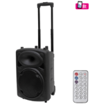 SAL PAB 25BT prijenosni Bluetooth zvučnik sa karaoke mikrofonom i daljinskim upravljačem
