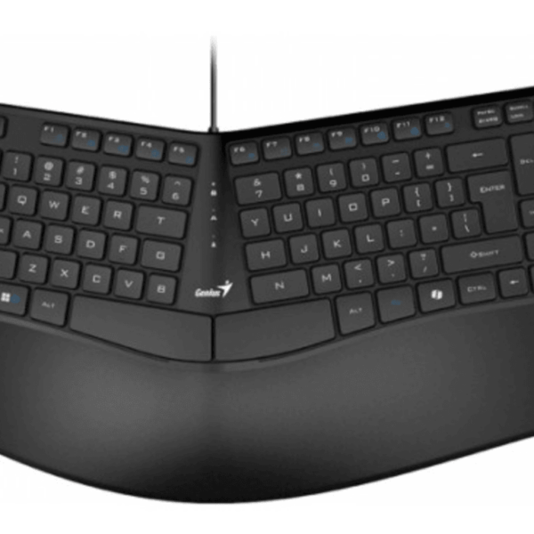 Genius Ergo KB-700 žična tastatura sa BH/HR/SRB rasporedom dugmića