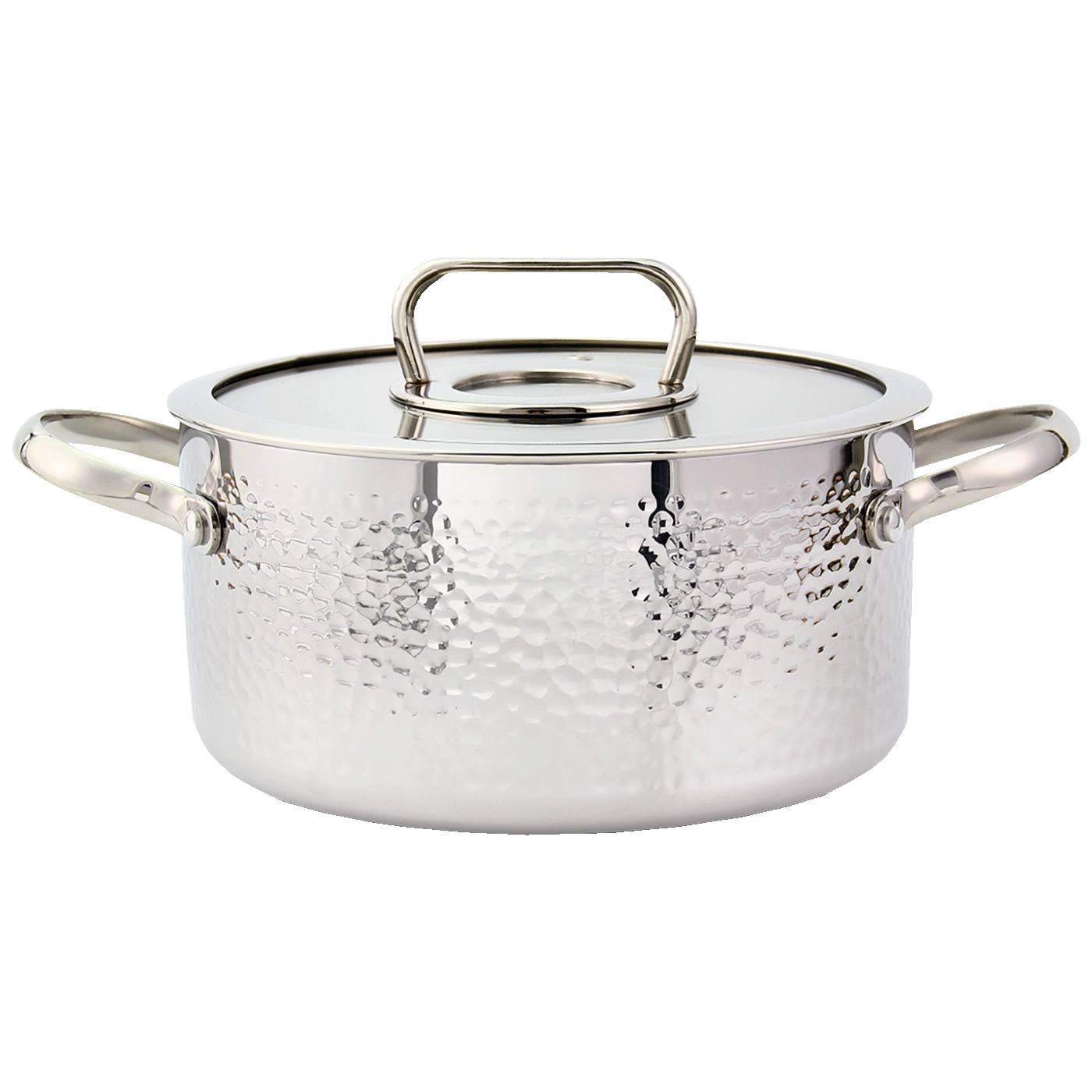 Zilan troslojni lonac 24 cm sa staklenim poklopcem i ergonomskom ručkom