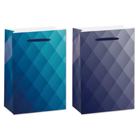 SE Vrećica XL Classic 5 210g kartonska vrećica dimenzija 31x42x12 cm