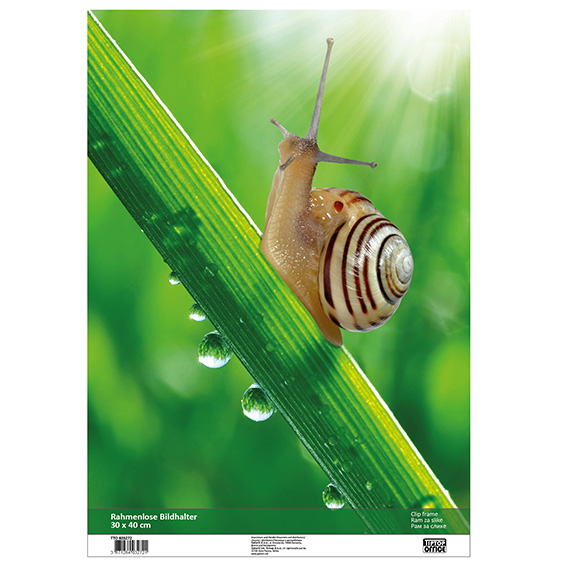 TTO Ram Clip-Fix 30x40cm sa plexiglas prednjom stranom i HDF pločom