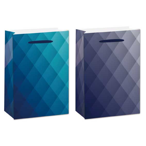 SE vrećica L Classic 5 210g kartonska vrećica dimenzija 26x32x12cm