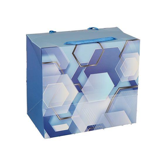 SE Vrećica Box L Blue - plava OPP vrećica s motivom krugova, dimenzija 22.5x20x13.5cm
