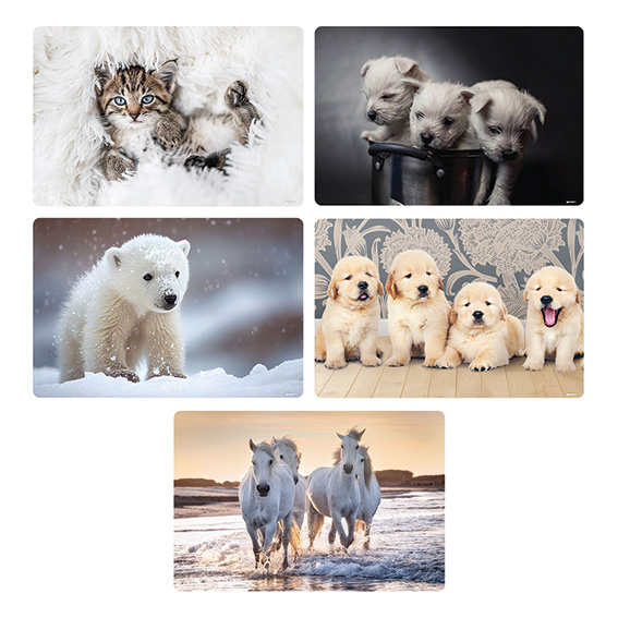 TTS stona mapa 60x40 Animal 5S sa motivom životinja