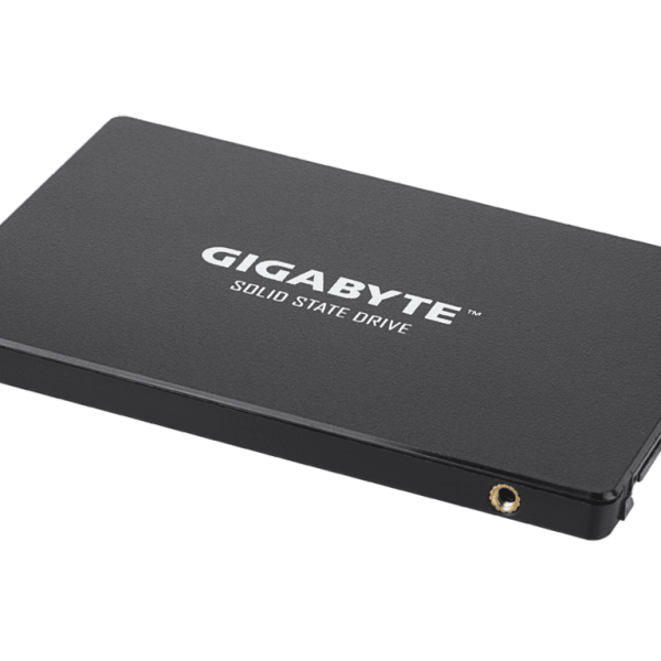 Gigabyte SSD 256GB 2.5 inčni disk