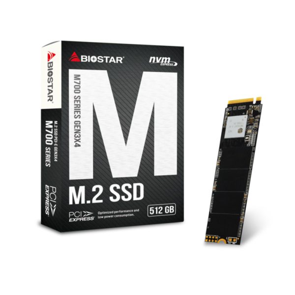 BIOSTAR 512GB M.2 NVMe SSD disk