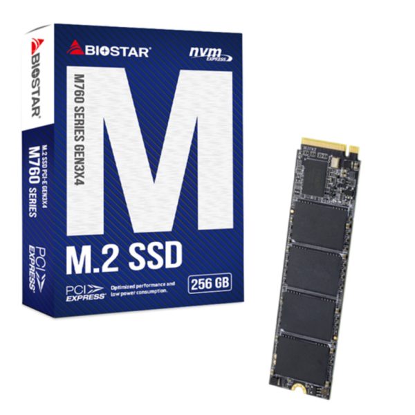 BIOSTAR 256GB SSD M.2 NVMe PCI-E Gen3x4 disk