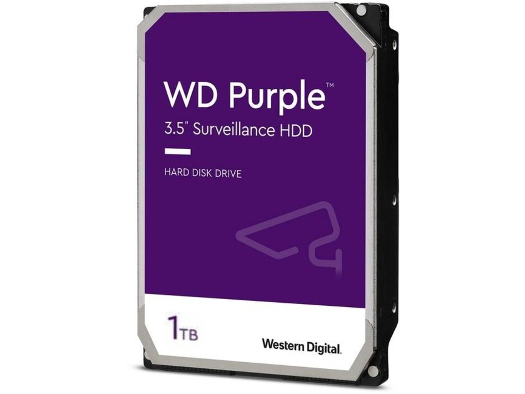 WD11PURZ_230907040933821-2